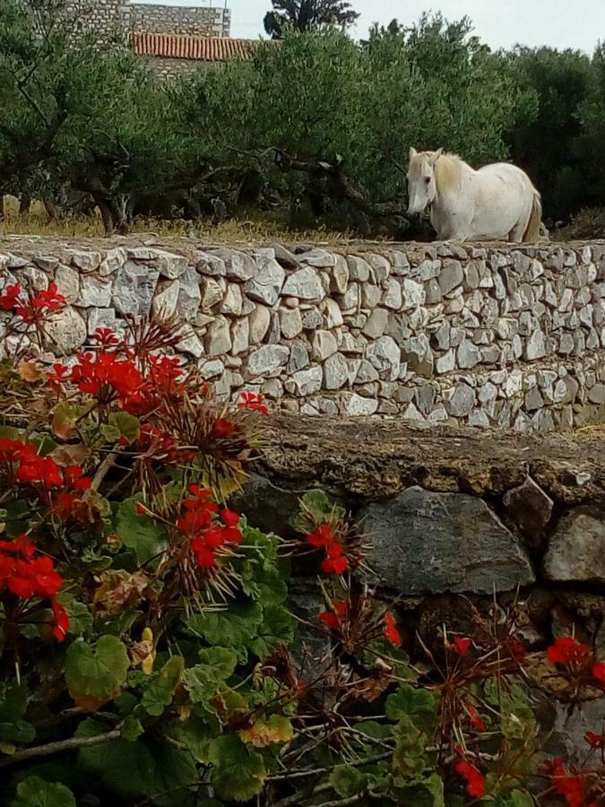 Charouda Stone Tower Apartment Pyrgos Dirou Luaran gambar